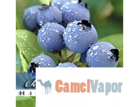 US Made eLiquid - Blueberry Frost